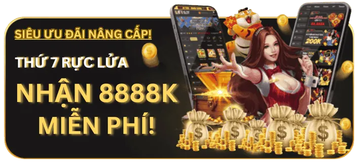 Cấp phép và quy định TK888